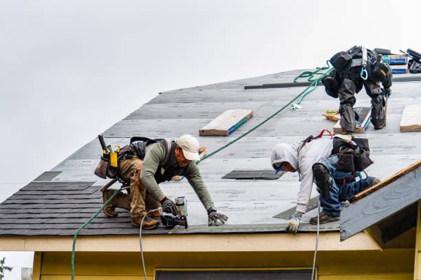 Professional Gutter Installation technician working in Urbana, IL